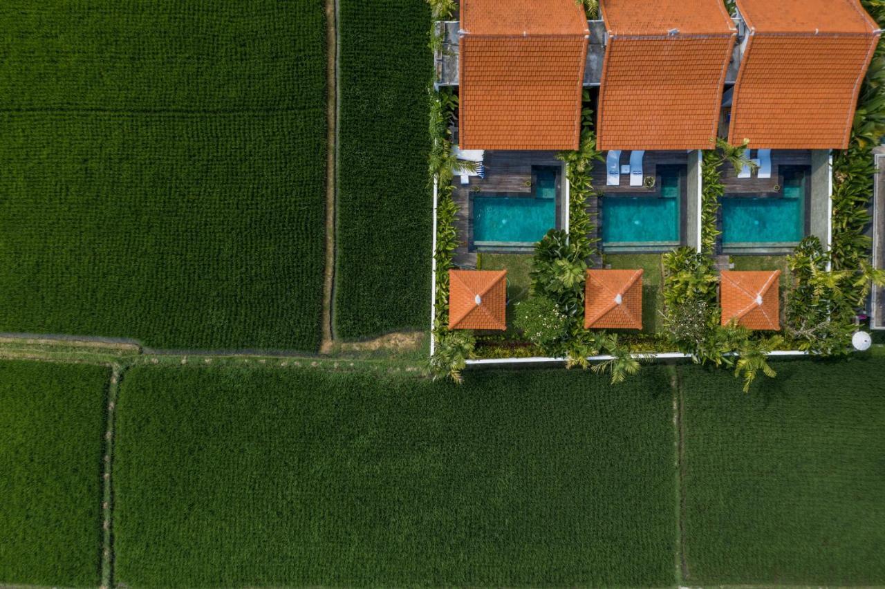 Sawah Villas Ubud Exterior foto